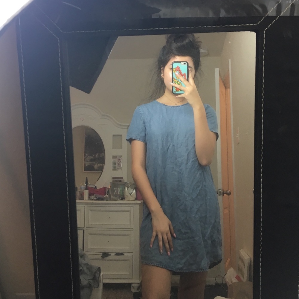 Express Denim Dress